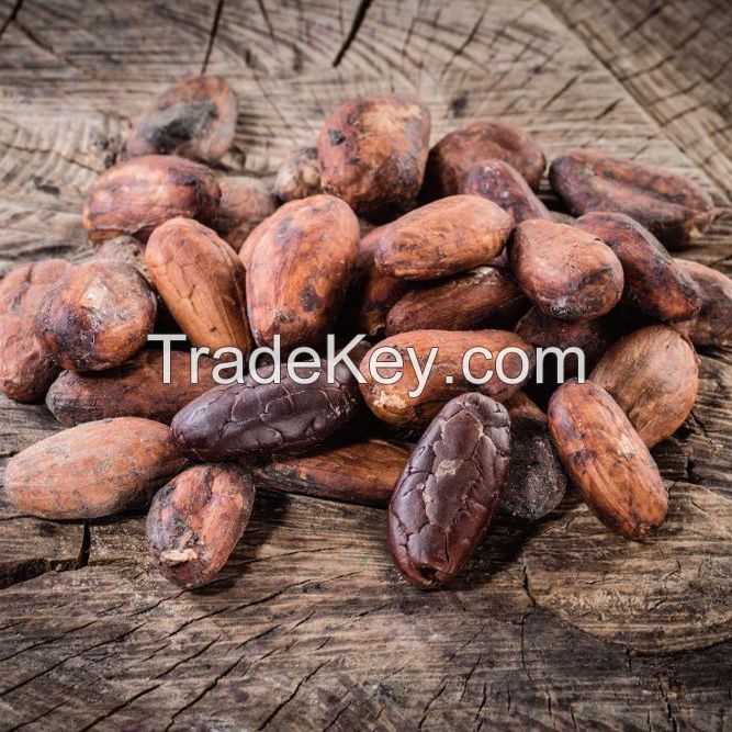 Cocoa Beans, Best grade   for sale