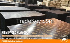 concrete formwork shuttering plywood