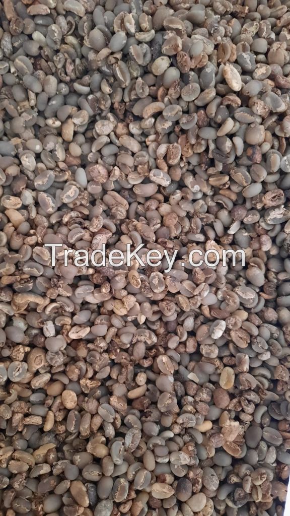 Arabica Coffee Beans