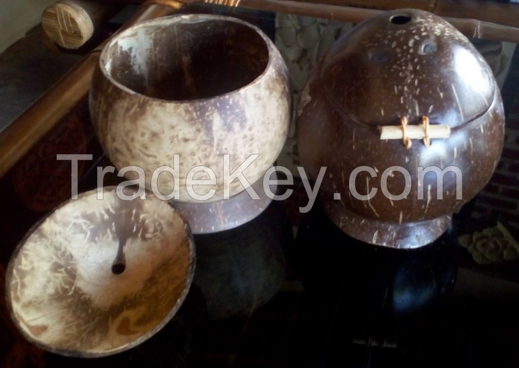 Coconut Shell Handycraft