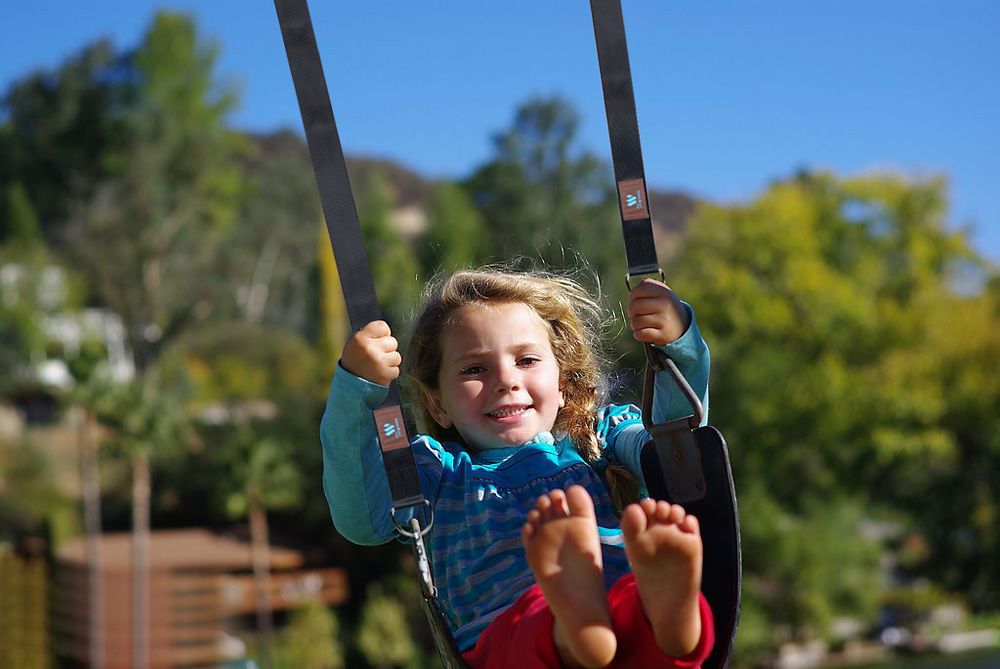 Tree Swing Straps Hanging Kit (Set of 2) - 10ft Long with Two Size D Shape Ring and Two Zinc Alloy Carabiners - 2000Lbs Break Strength - for Swings and Hammocks Black&iq