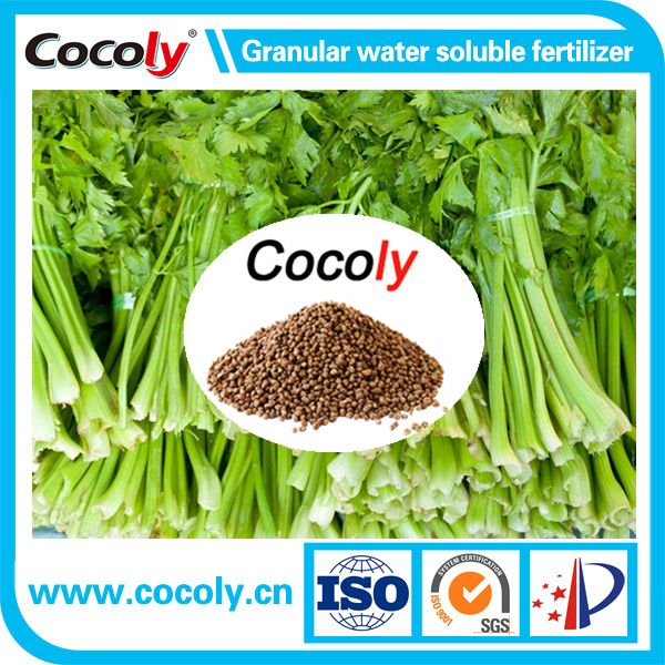 Cocoly foliar fertilizer with 100% water solubility