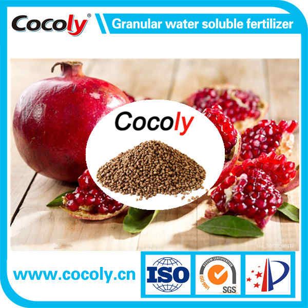 Cocoly complete nutritional water soluble fertilizer in granular shape