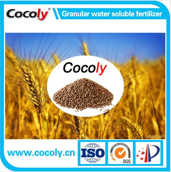 Cocoly granular water soluble fertilizer high quality