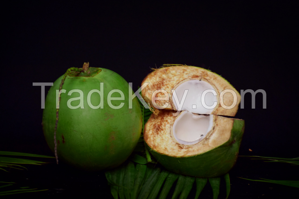 Young Coconut Water