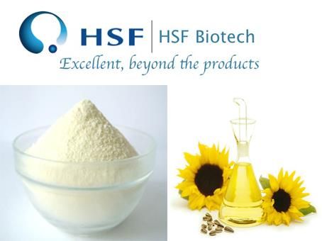 High Oleic Sunflower Oil Powder/Micro-Encapsulated Sunflower Oil Powder