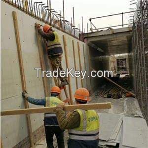 Plastic building formwork