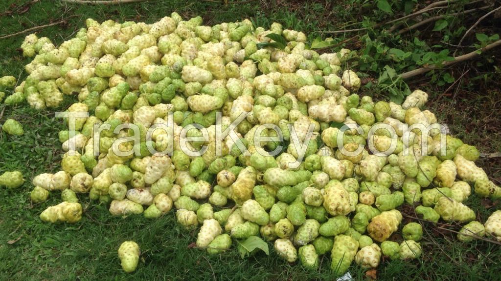 Dried Noni