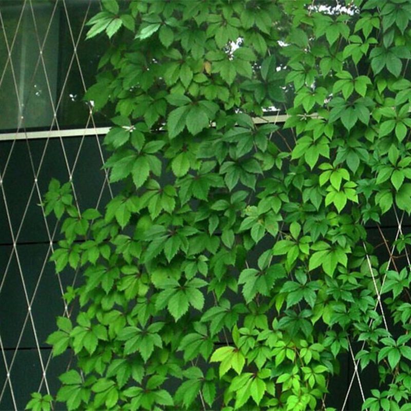 Stainless steel green wall system