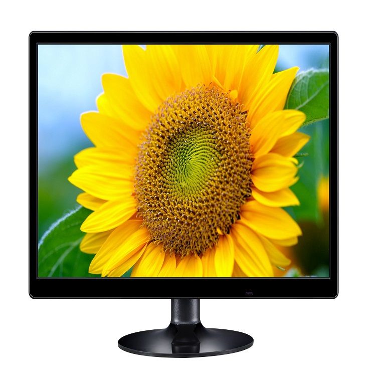 21.5" economy plastic Monitor