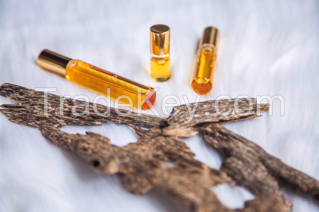 VietNam 100% Natural Agar oud wood Oil- hot product in UAE