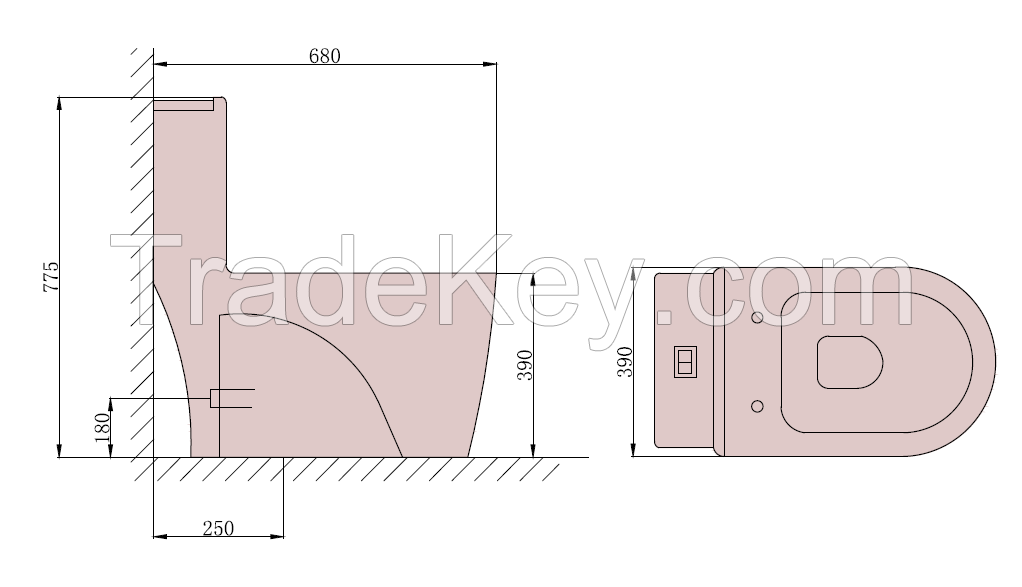 Build-in Bidet Toilet  BT001