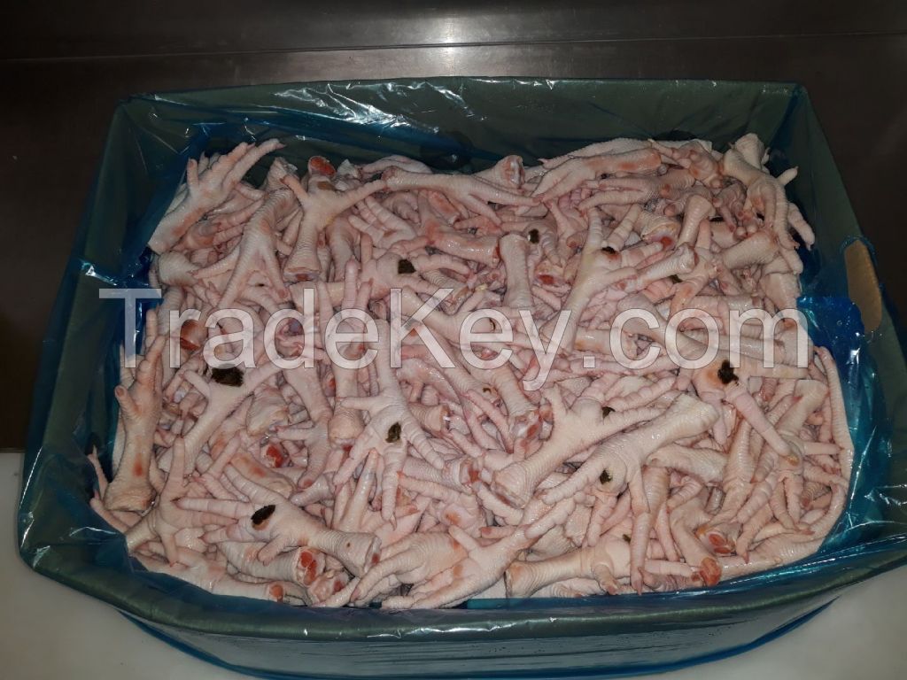 Frozen Chicken Feets for Export