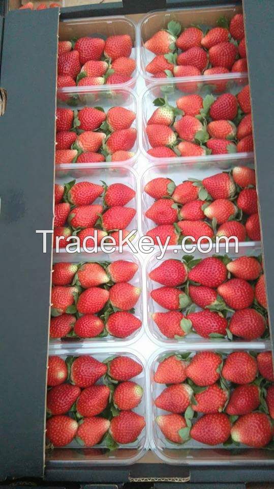 Fresh strawberries