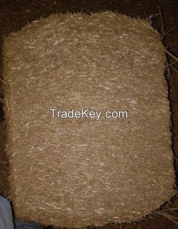 Wheat Straw (High grade from Pakistan)