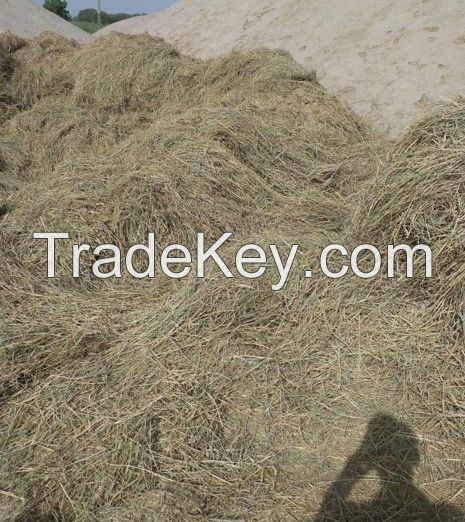 Rice Straw (High grade from Pakistan)