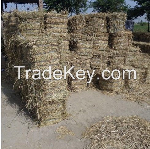 Rice Straw (High grade from Pakistan)