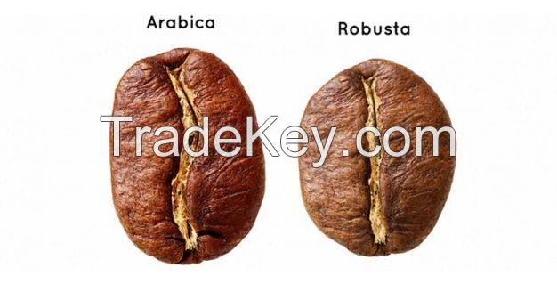 OEM - Arabica and Robusta blending - freeze dried instant coffee