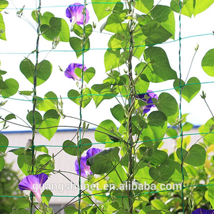 China Manufacturer Plant Support Netting/ Plant Climbing Net