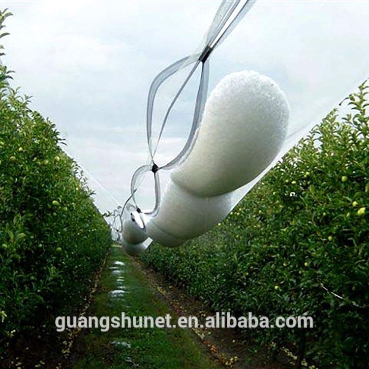 Agriculture Anti Hail Net / Hail Protection Net Insect Netting for Fruit Trees