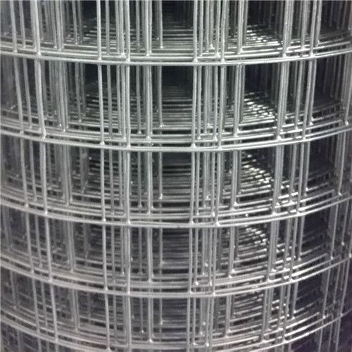 Welded Wire Mesh Rolls