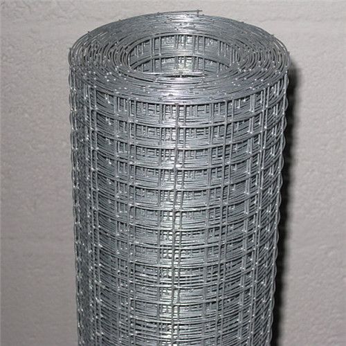 Welded Wire Mesh Rolls