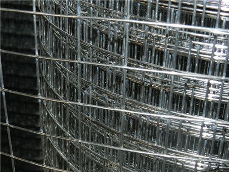 Welded Wire Mesh Rolls