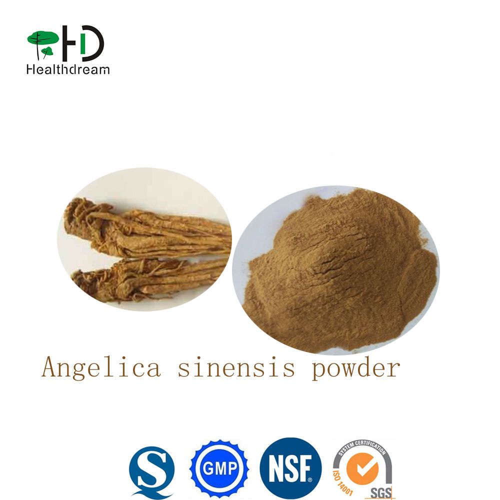 Chinese Angelica sinensis powder
