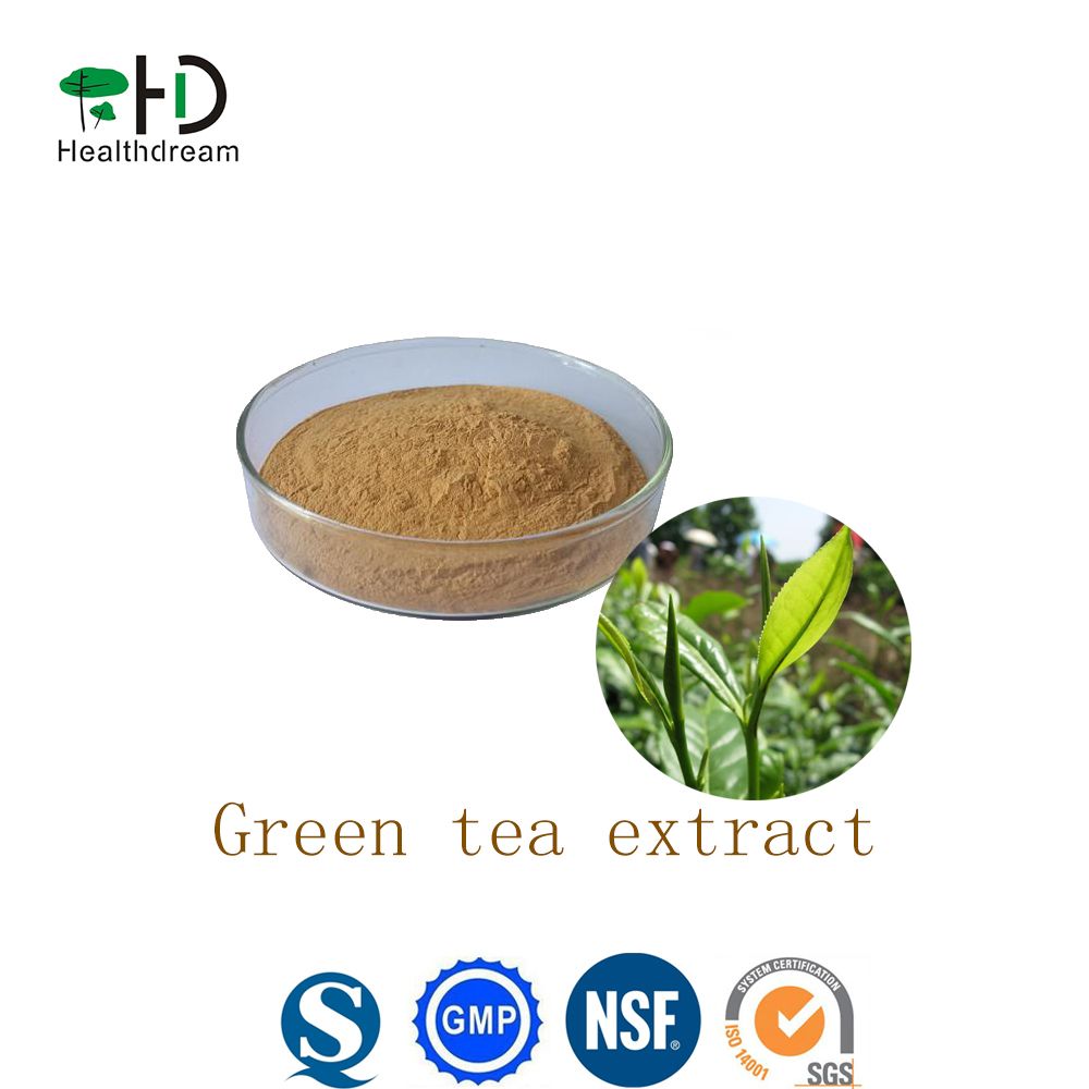 Green tea extract powder, tea polyphenols