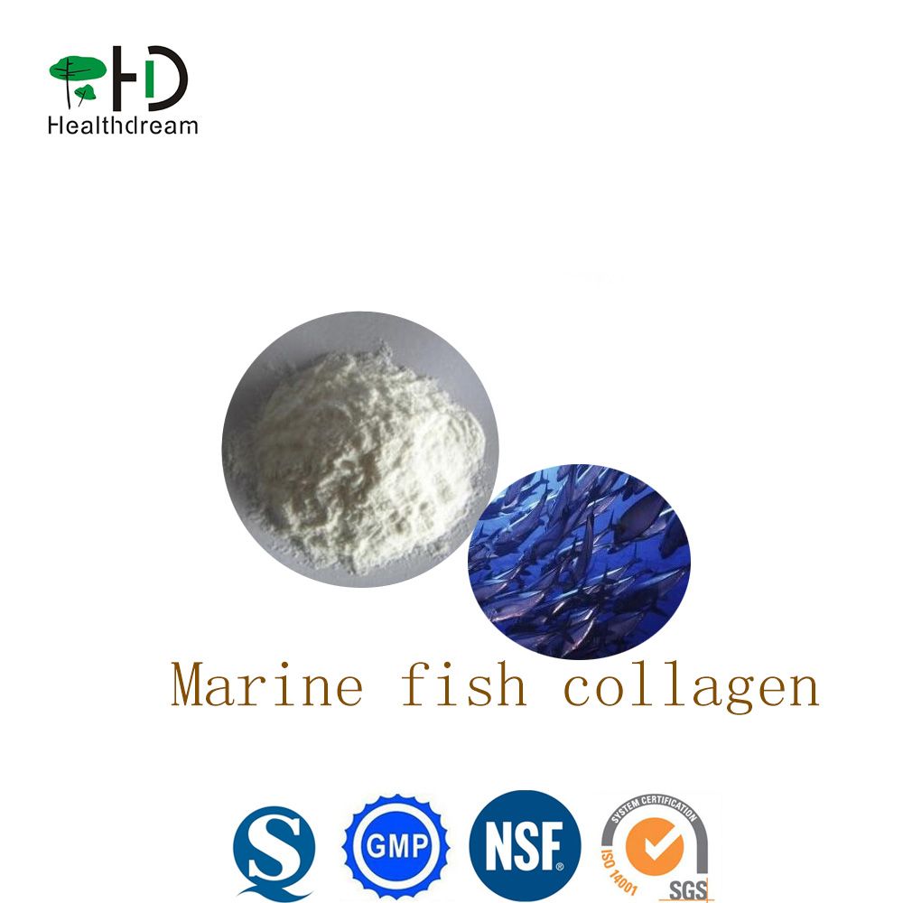 Marine Fish Collagen Powder,Raw Material Collagen