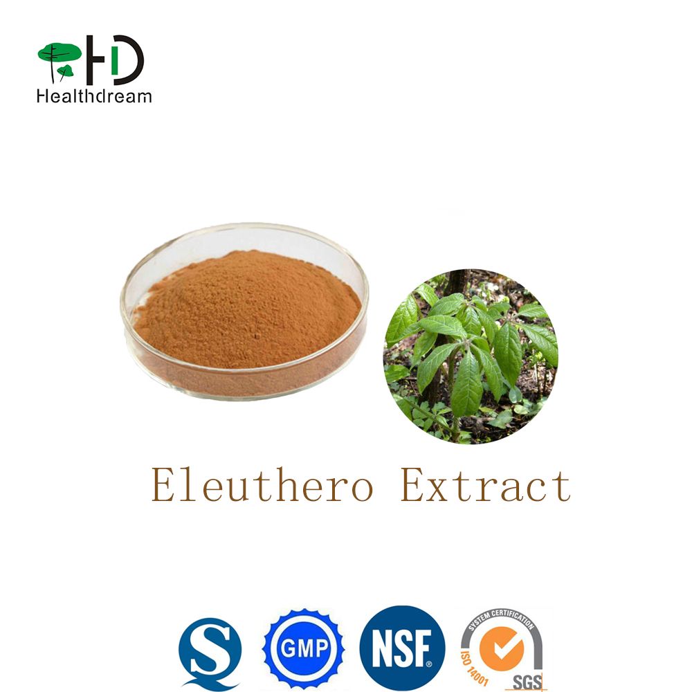 Siberian Ginseng Extract/Eleuthero Extract /Eleutherococcus Senticosus Root Extract20:1