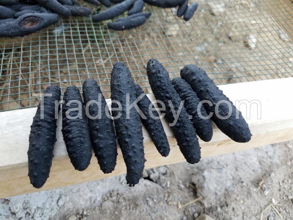 dried sea cucumber