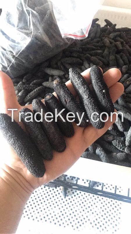 dried sea cucumber