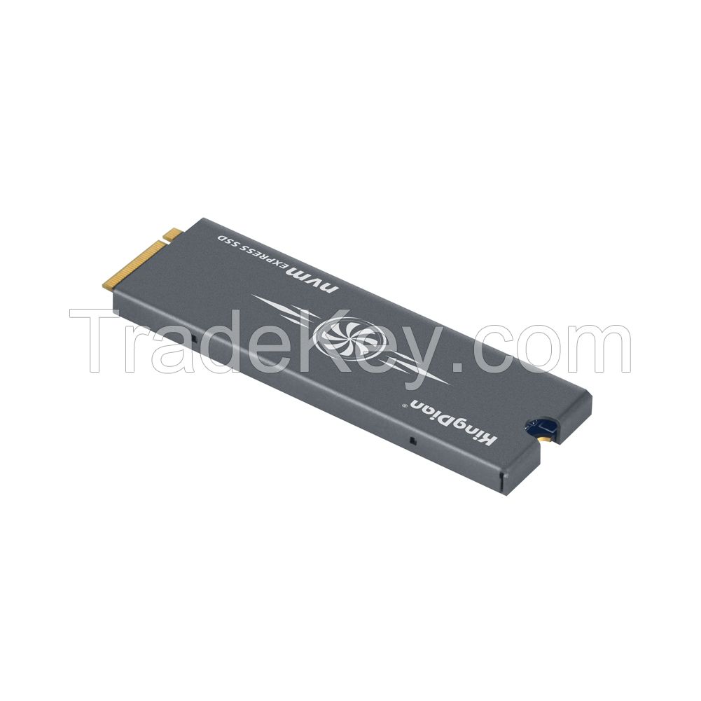KingDian M.2 Pcie Nvme Pro 120GB SSD