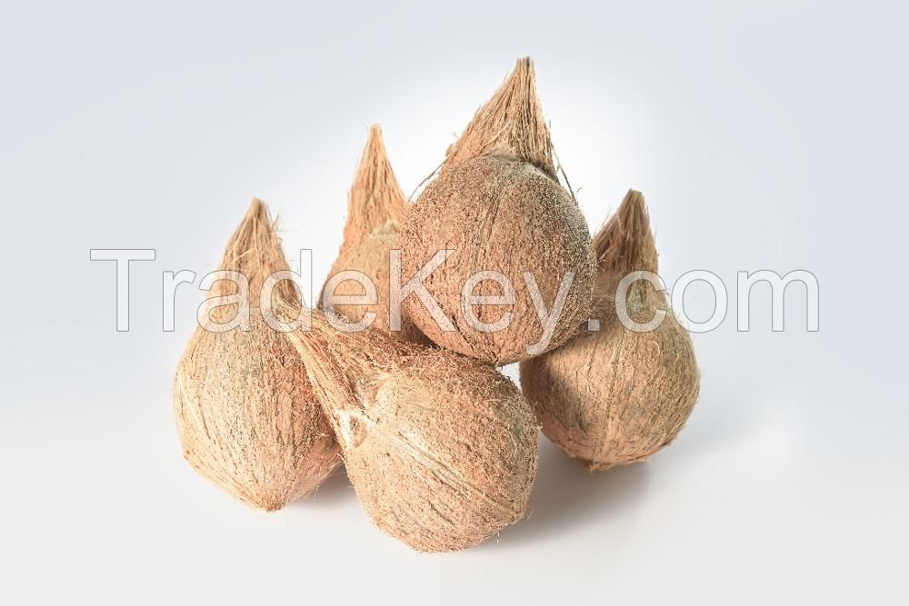 Semi Husked Coconuts at 1.2$ per kg