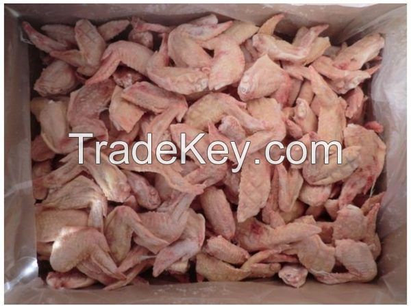 Premium Quality Processed Frozen Chicken Feet & Paws Suppliers