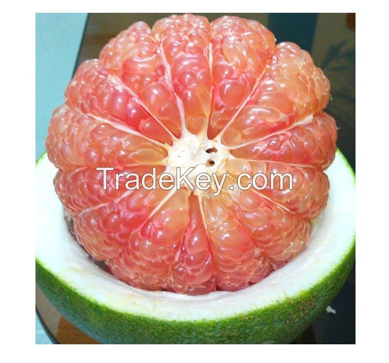 Grapefruit Green Skin, Pomelo Fresh Fruit