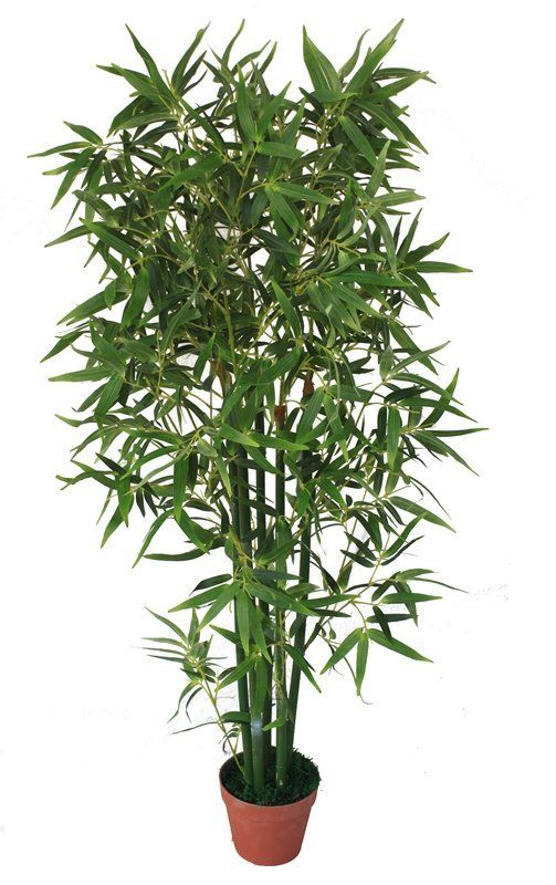 hot selling decorative artificial bonsai bamboo tree for sale