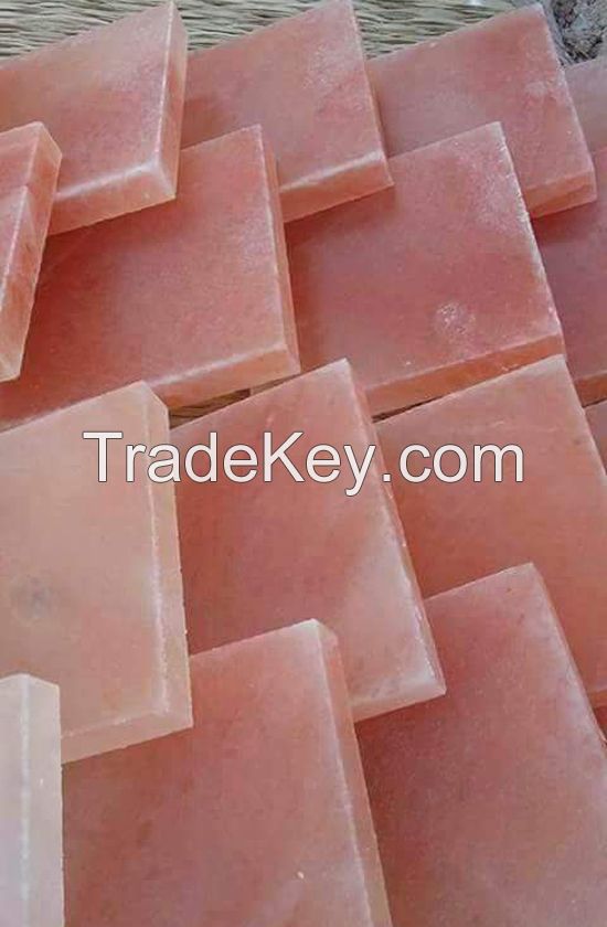 Salt Tiles and Bricks
