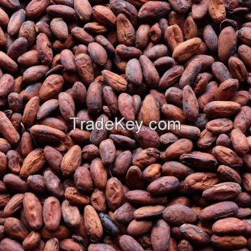 Dried Cocoa Beans