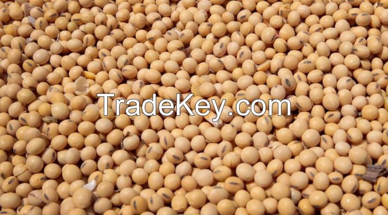 Soybeans.