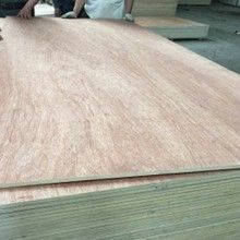 BB/CC grade oak/pencil cedar/okoume/bintnagor commercial plywood