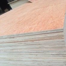 commercial plywood,okoume plywood,bintangor plywood for package