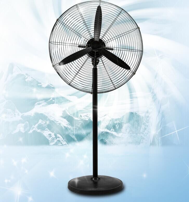 Floor fan