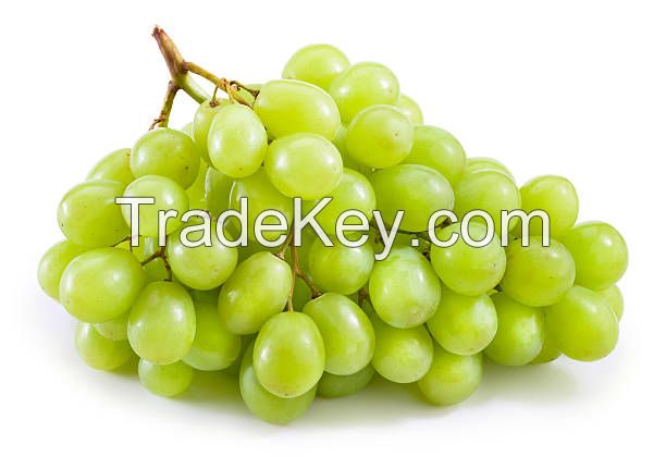 Fresh Grapes