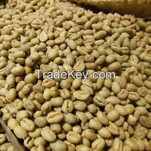 Arabica Coffee beans