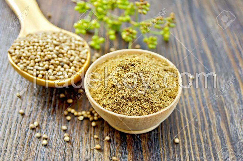 Coriander