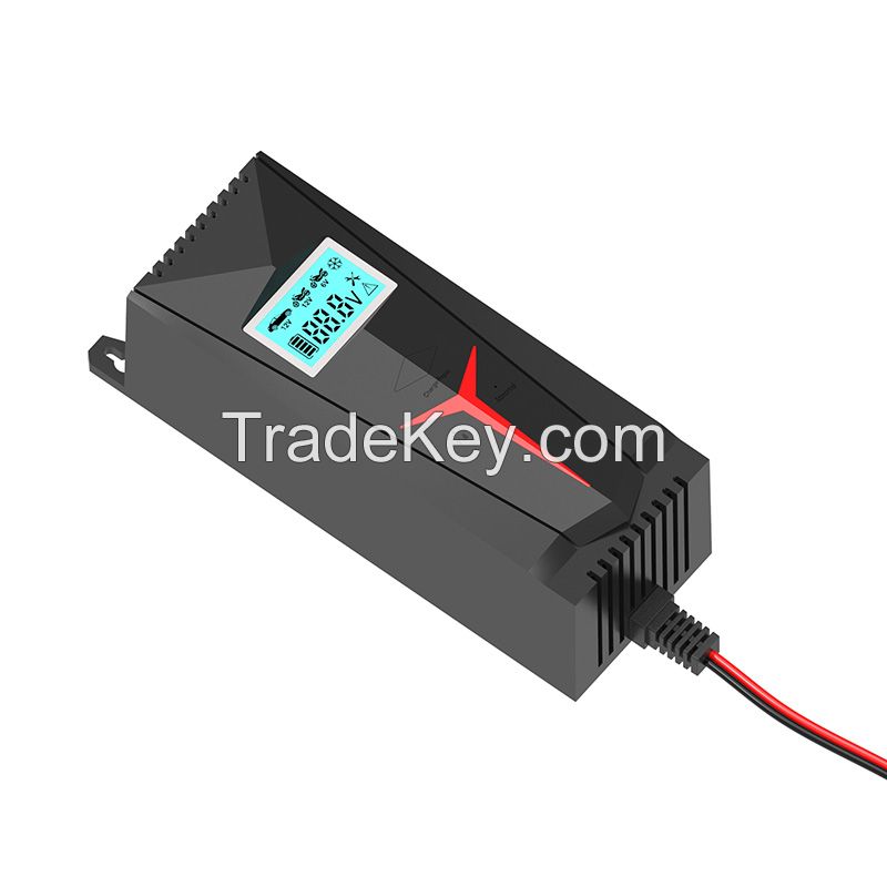 Y1 Automatic car battery charger