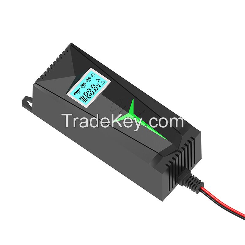 Y1 Automatic car battery charger