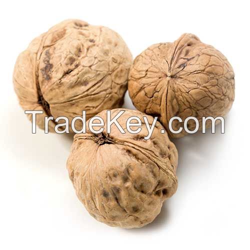 walnut inshell